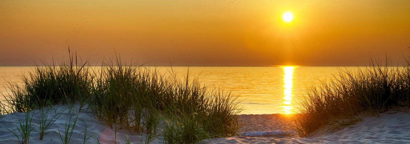 Sommer 26
